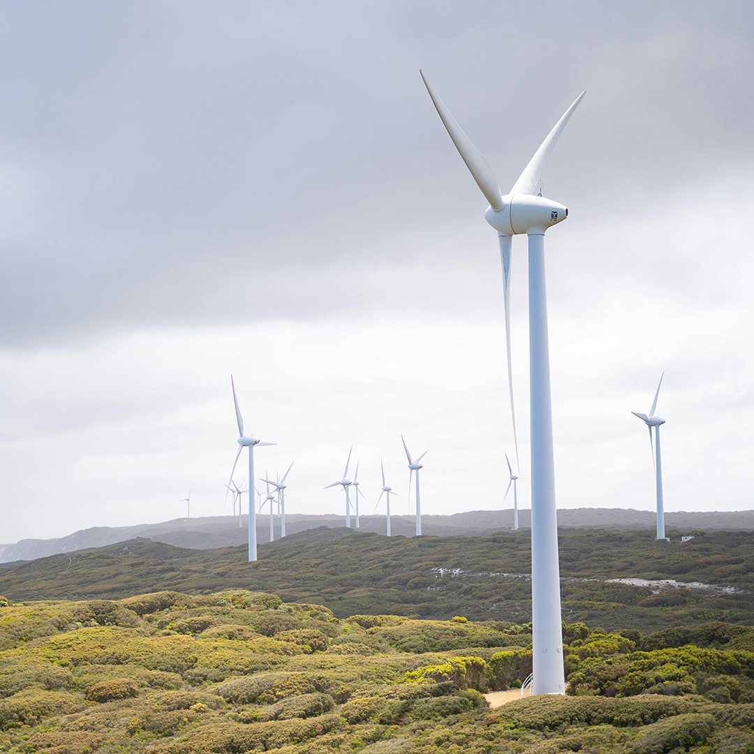 Blackburn Landholdings